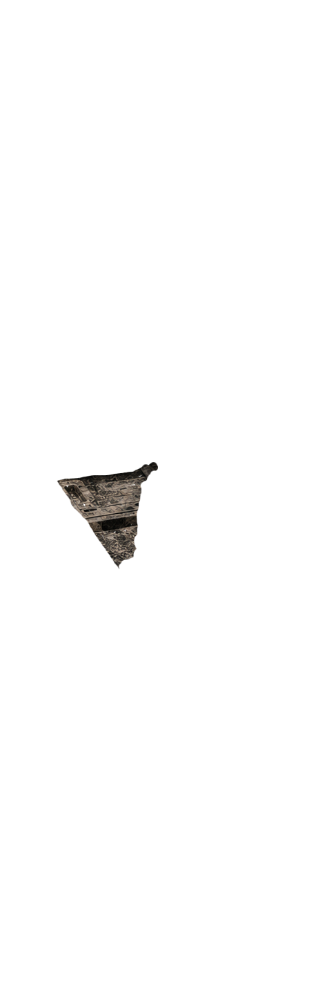 Carpet Dirt
